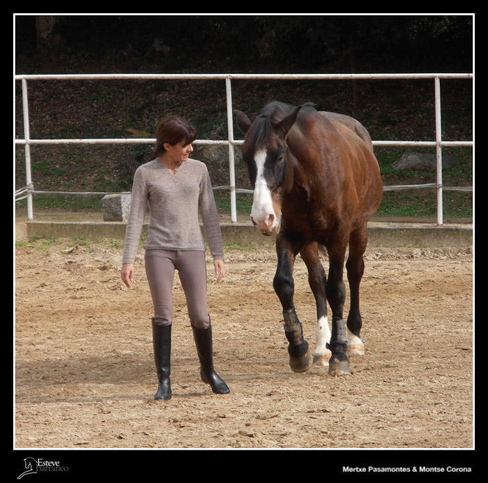 Como conecté con los caballos