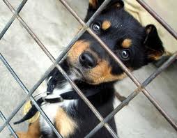 7 Ideas para tomar las riendas y cambiar las cosas