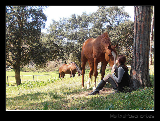 Reconocer tus prioridades para ser más coherente