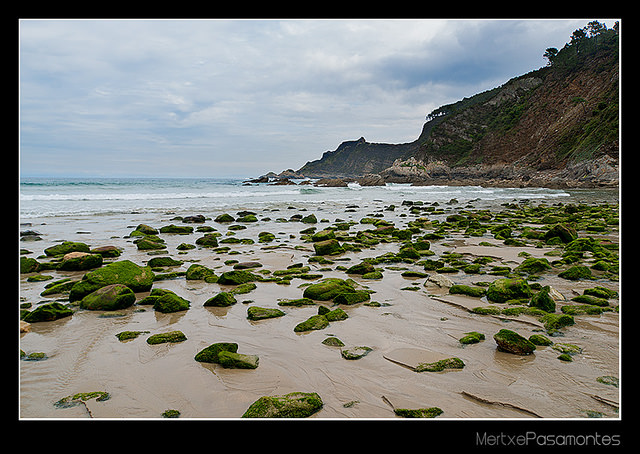 14 vías para ser más felices