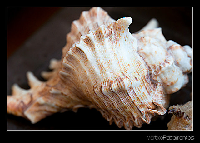 No es el karma, eres tú!