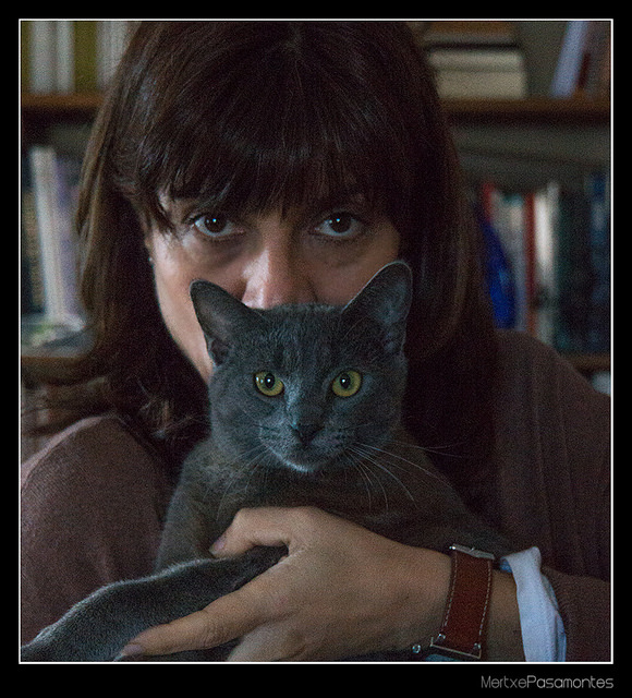 Doce cosas que aprendí de mi gato