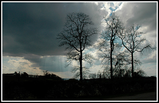 Los 5 trastornos mentales más frecuentes sin diagnosticar